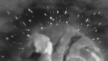 Kishi Bashi – The Ballad of Mr. Steak