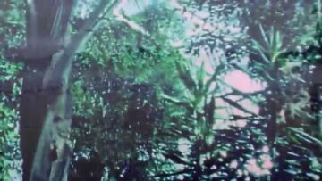 Pinkshinyultrablast – Umi