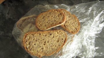 Ought – Today More Than Any Other Day