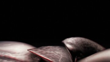 Polar Bear – Life and Life