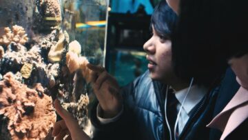 Milk & Bone – Coconut Water