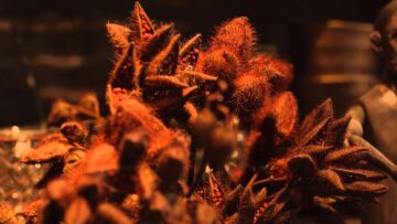 Ryan Hemsworth – Too Long Here