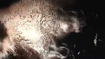 Peine Perdue – Cerceaux