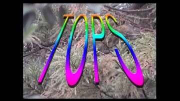 TOPS – Destination