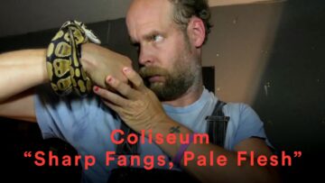 Coliseum – Sharp Fangs, Pale Flesh