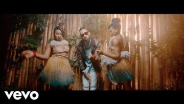 Phyno – Nnunu