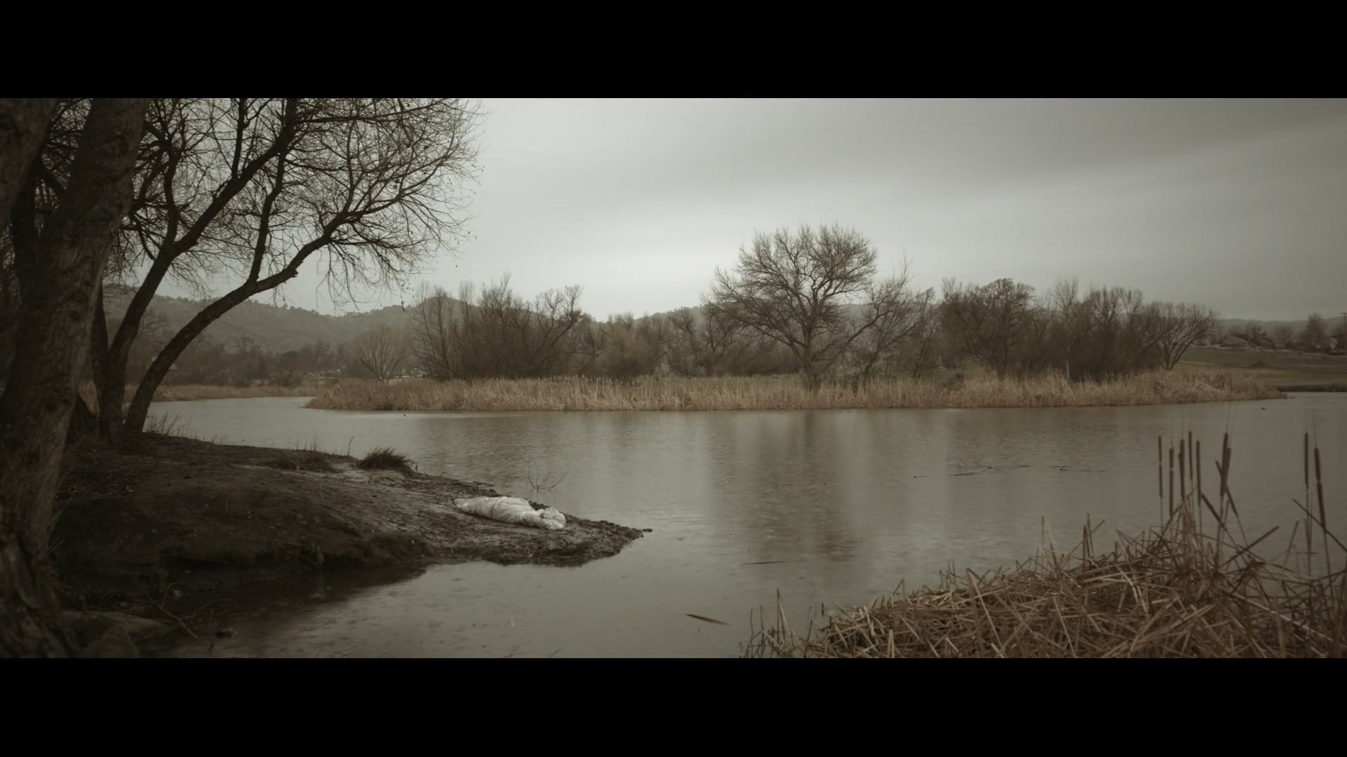 Mina Tobias – Freedom