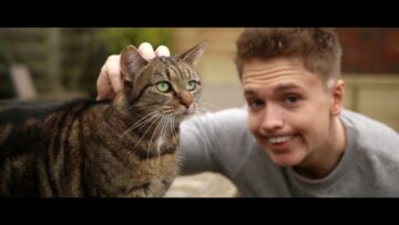 Joe Weller – Kitty