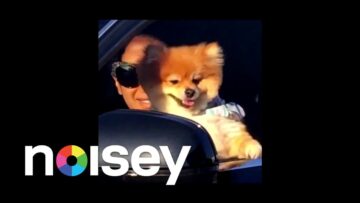 Jim-E Stack – Deadstream