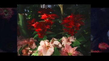 Ryan Hemsworth – Angel