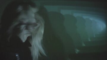 Animalia – Face On