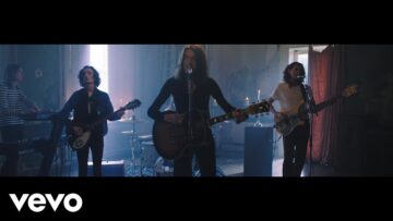 Blossoms – Blown Rose