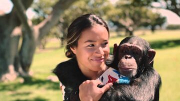 Steve Aoki – Can’t Go Home