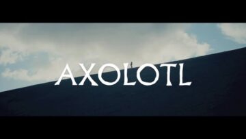 The Veils – Axolotl