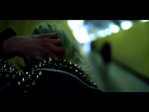 REIN – Bruises