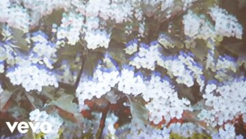 Only Girl – Heights