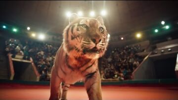 Leningrad – Kolschik