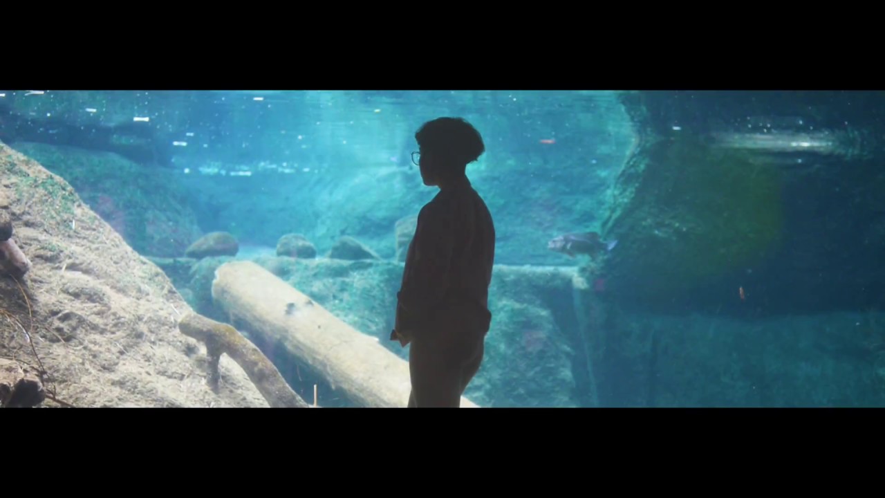 Raveen – Always