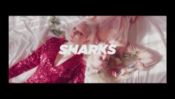 Sharks – Money