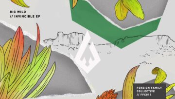 Big Wild – Crickets