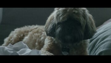 Seaway – Apartment