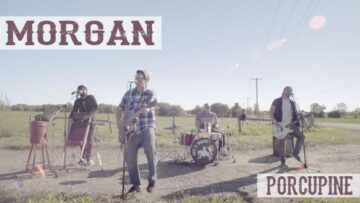 Morgan – Porcupine