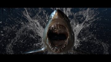 187 Strassenbande – HaifischNikez Allstars