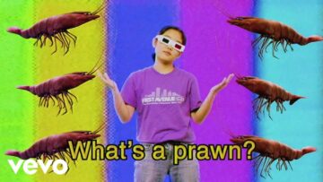 Superorganism – The Prawn Song