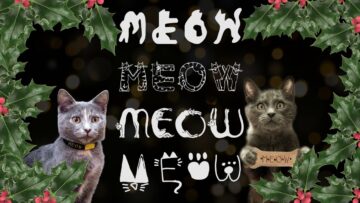 Guster – Carol of the Meows