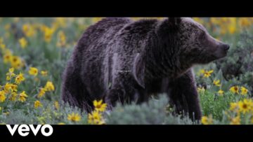 Mumford & Sons – Mumford & Sons and National Geographic Present: Beloved