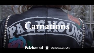 Palehound – Carnations