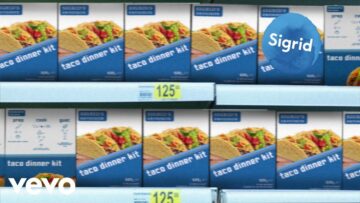 Sigrid – Sucker Punch (Four Tet Remix / Visualiser)