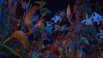 Floating Points – Last Bloom