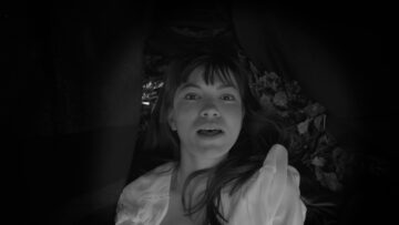 Dog In The Snow – Dark