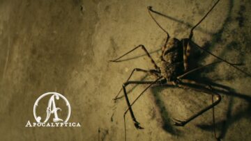 Apocalyptica – En Route To Mayhem