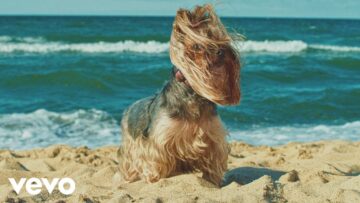 The Futureheads – Good Night Out