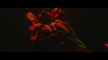 Hatari – Hatrið mun sigra