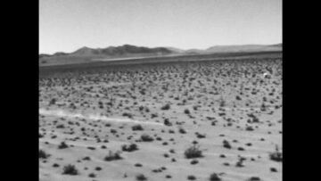 Ikebe Shakedown – Horses