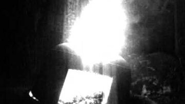 Nobody – In The Arms Of North