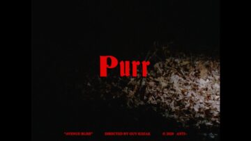 Purr – Avenue Bliss