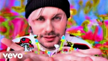 5 Seconds of Summer – Wildflower