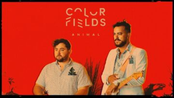 Color Fields – Animal