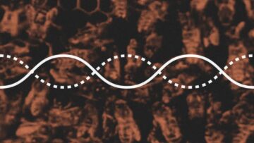 Touché Amoré – I’ll Be Your Host (Lament Visual Album)