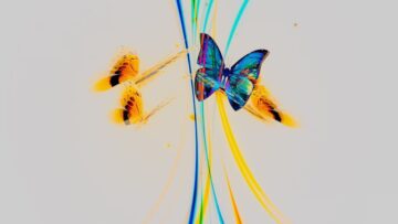 Afterlife – Summer Of Love