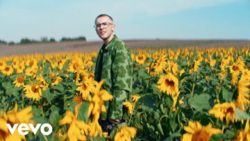 easy life – daydreams