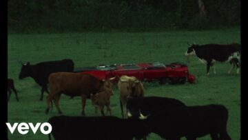 Modest Mouse – We Are Between