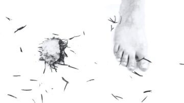 Wyndow – Two Strong Legs