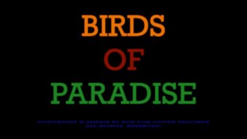 Fury – Birds of Paradise