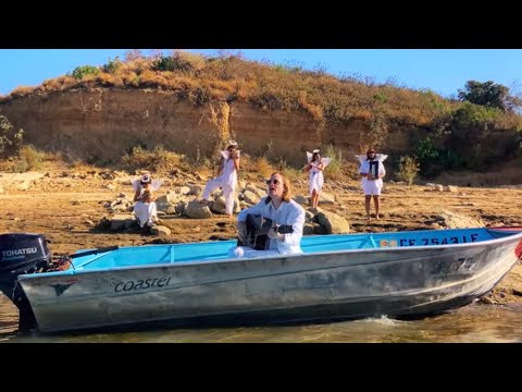 Dent May – Imagination