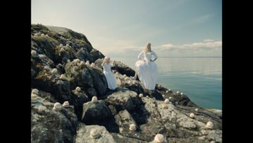 ionnalee – summer never ended the damage was all mine